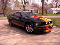 2005 Ford Mustang Pictures Cargurus
