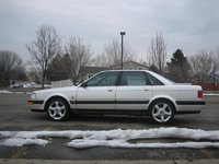 V8 V8