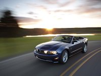 Mustang Mustang