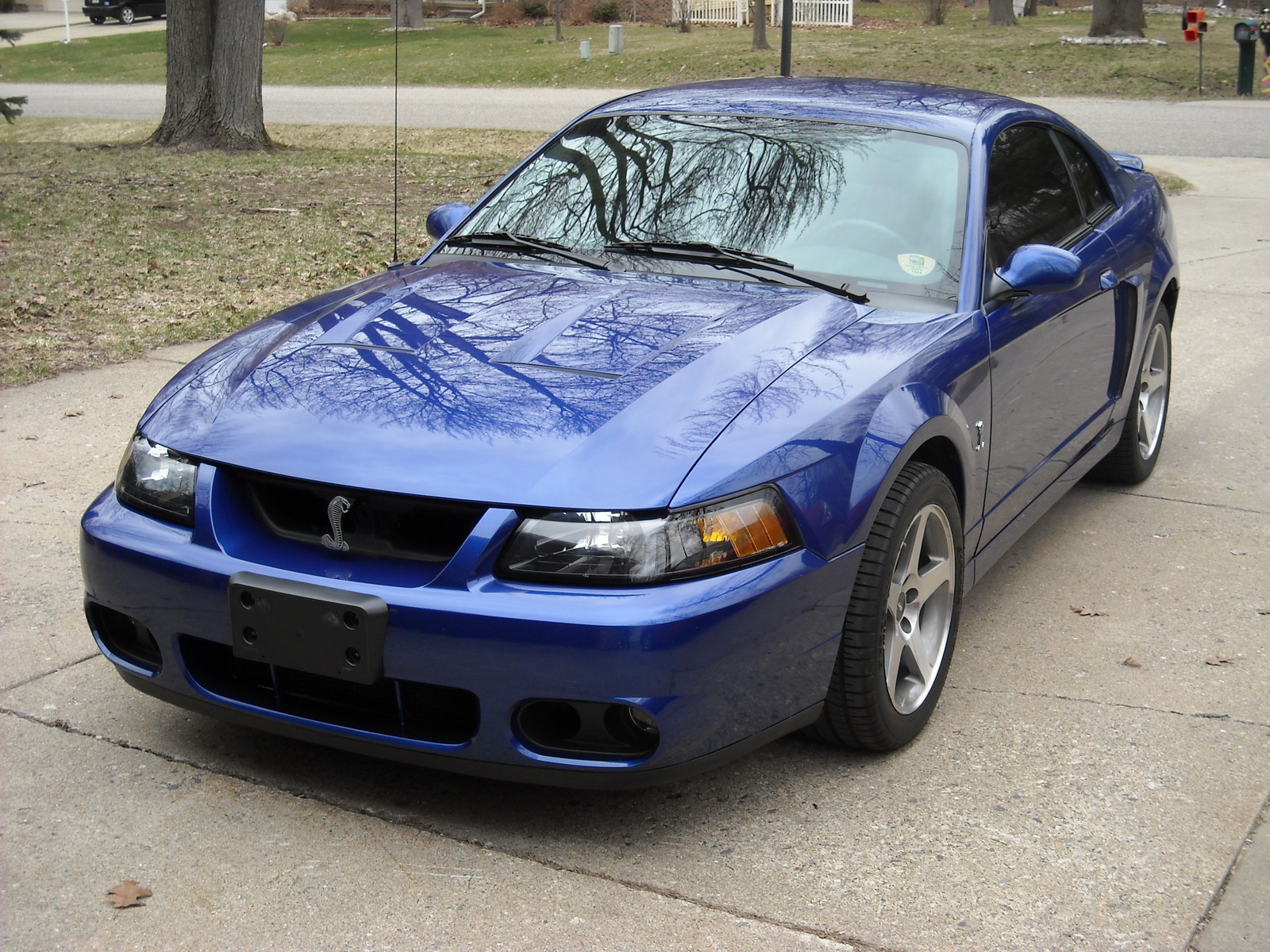 1998 Ford mustang svt cobra supercharger #5