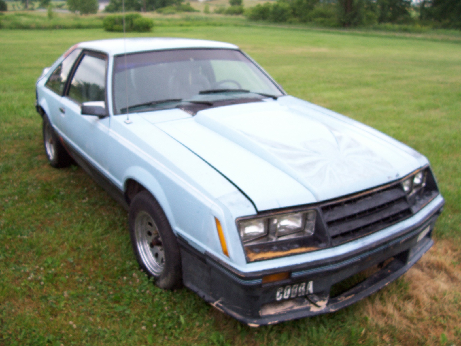 1980 Ford cobra mustang #4