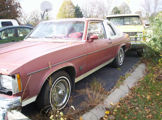 Pontiac phoenix 1977