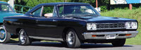 Road Runner Road Runner
