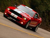 Mustang Mustang