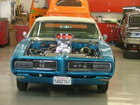 GTO GTO