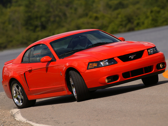 Ford mustang feed #3