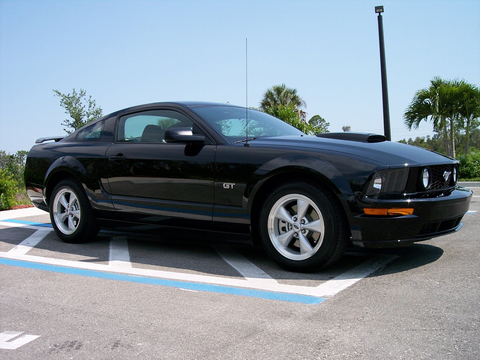 Much horsepower does 2007 ford mustang gt have #10