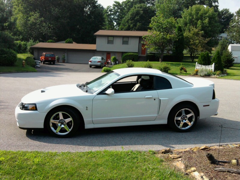 2003 Ford svt cobra horsepower #5