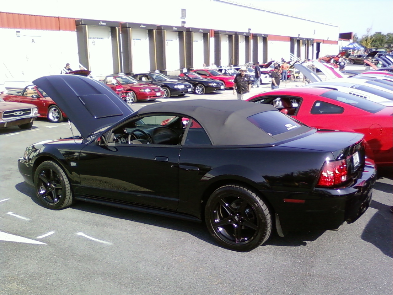 Used 2003 ford mustang gt premium #9