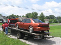 Lumina Lumina