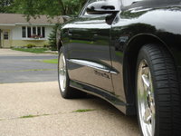 Firebird Firebird