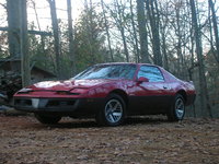 Firebird Firebird