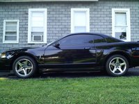 Mustang SVT Cobra Mustang SVT Cobra