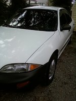 Cavalier Cavalier