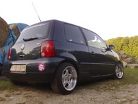 Lupo Lupo