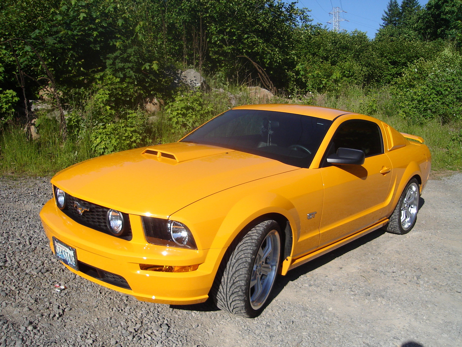 2008 Ford mustang gt deluxe coupe #9