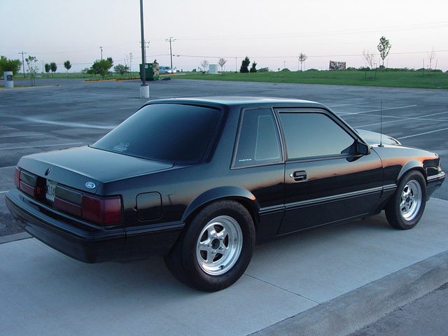 1988 Ford Mustang Pictures Cargurus