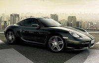 Cayman Cayman