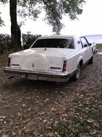 Continental Continental
