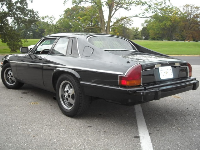 1979 Jaguar Xj S Pictures Cargurus