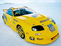 Supra Supra