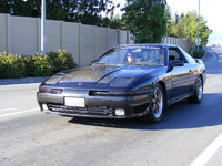 Supra Supra