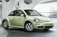 Beetle Beetle