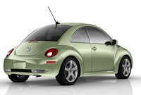 Beetle Beetle