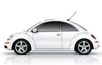 Beetle Beetle