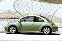 Beetle Beetle
