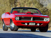 Barracuda Barracuda