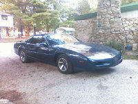 Firebird Firebird
