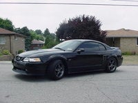 2000 Ford Mustang Picture Gallery
