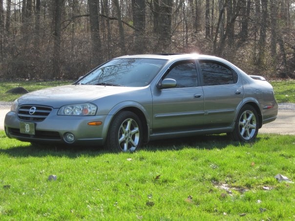 2003 Nissan Maxima Pictures Cargurus