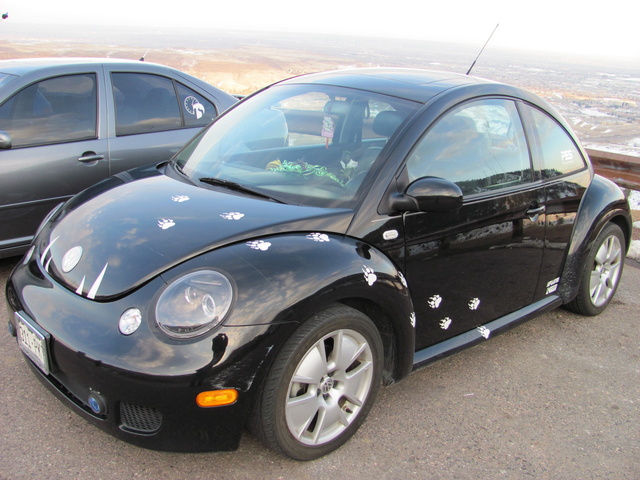 Volkswagen beetle 2003