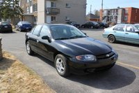 Cavalier Cavalier