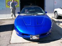 Firebird Firebird
