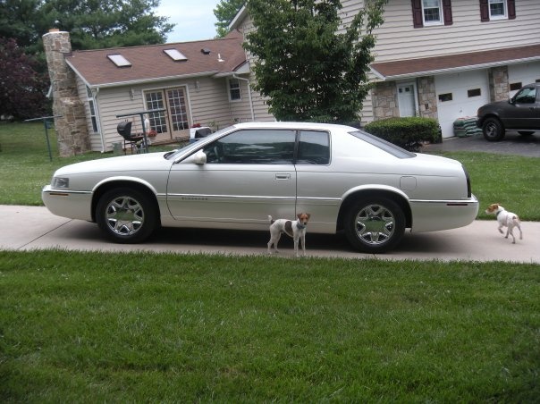 1998 Cadillac Eldorado Pictures Cargurus