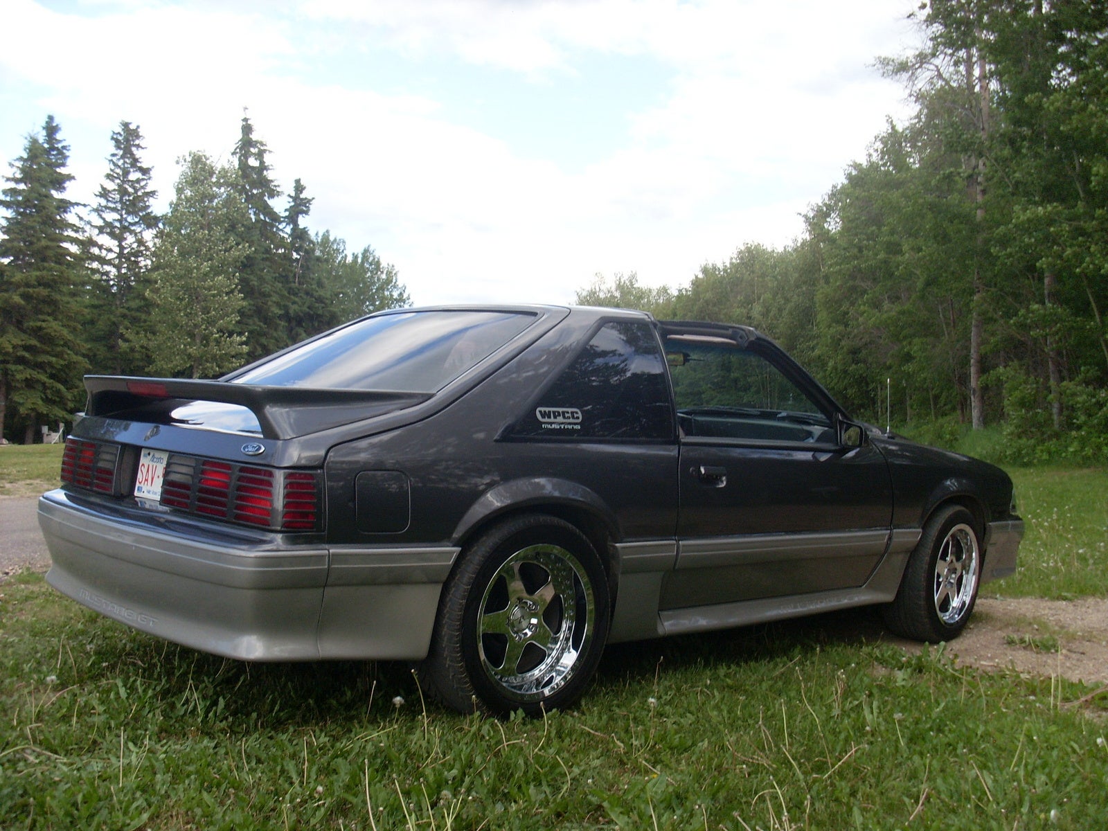 Picture of 1987 ford mustang #7