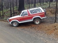 Bronco Bronco