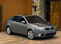 Cerato Cerato