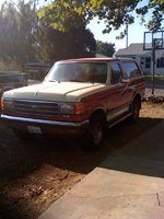 Bronco Bronco