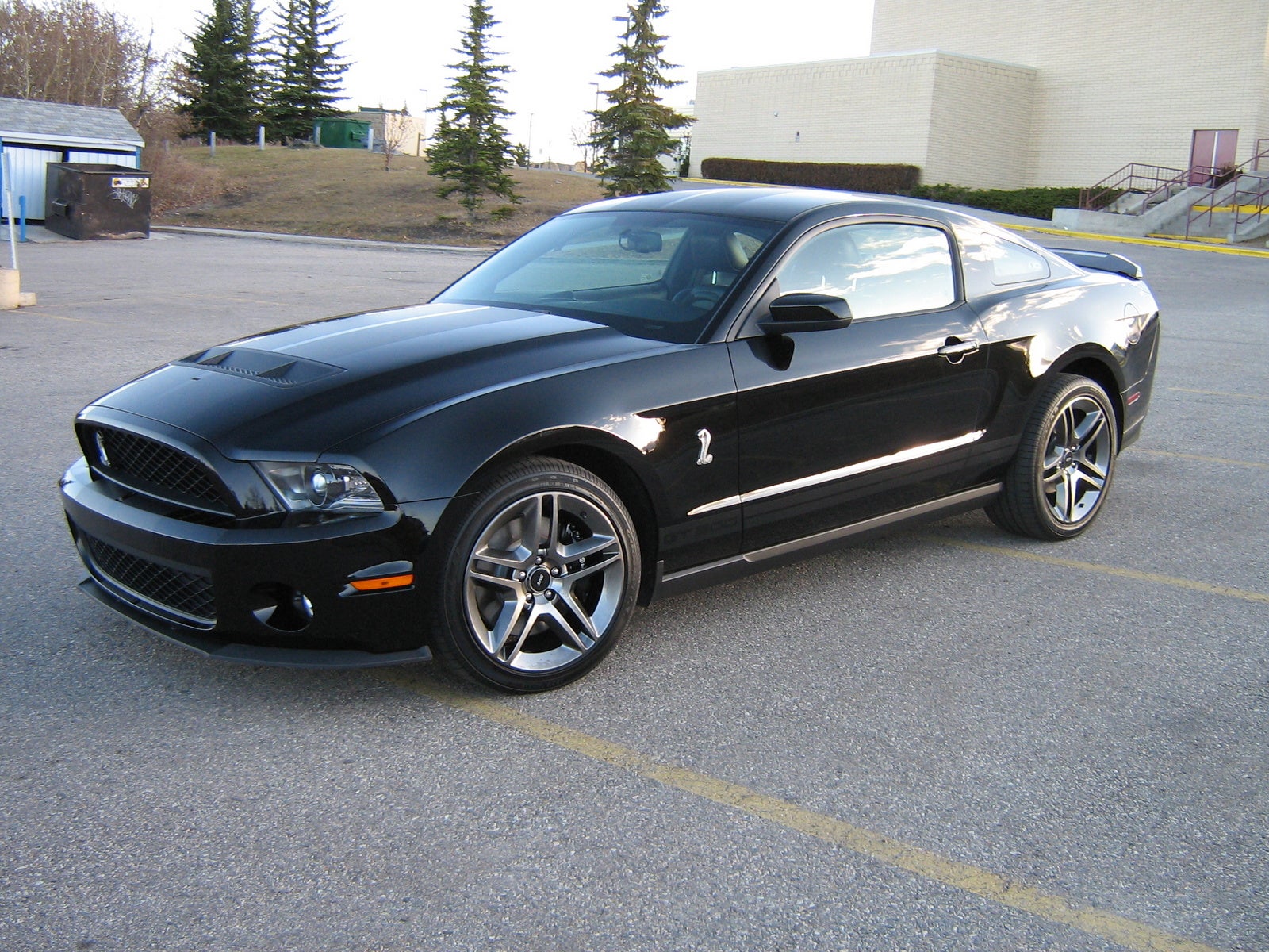 2010 Ford shelby gt500 specs #6