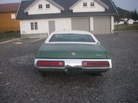 Cougar Cougar