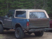 Bronco