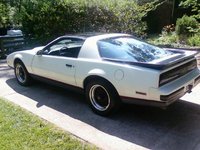 Firebird Firebird