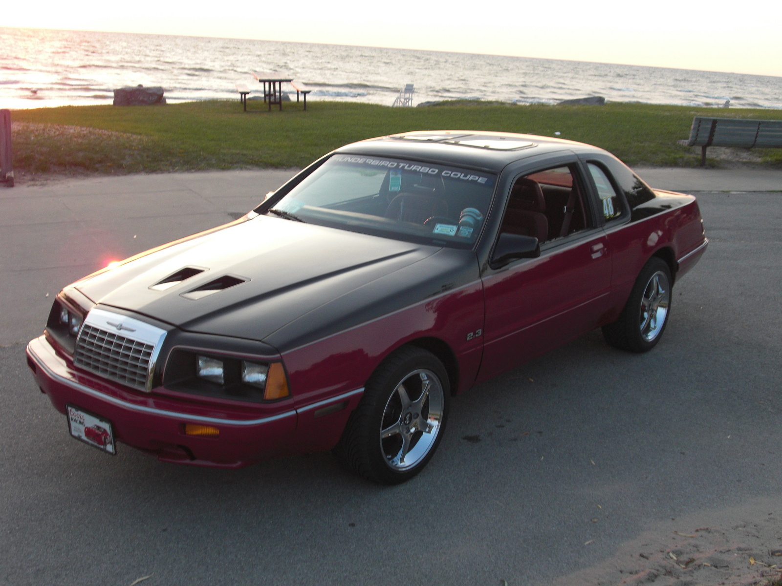 1984 Ford Thunderbird: Prices, Reviews & Pictures - CarGurus.ca