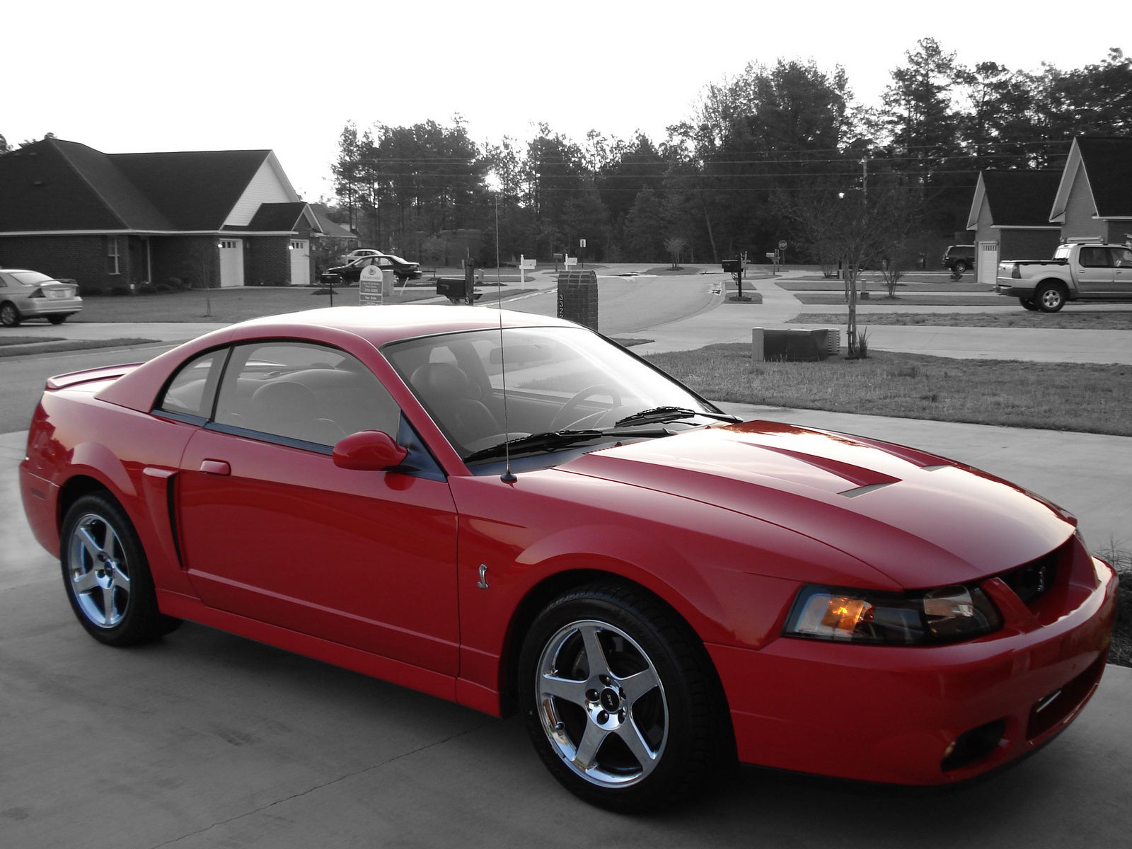 2004 ford mustang cobra pictures