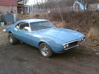 Firebird Firebird