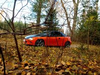 1995 Opel Tigra Overview 1995 Opel Tigra Overview